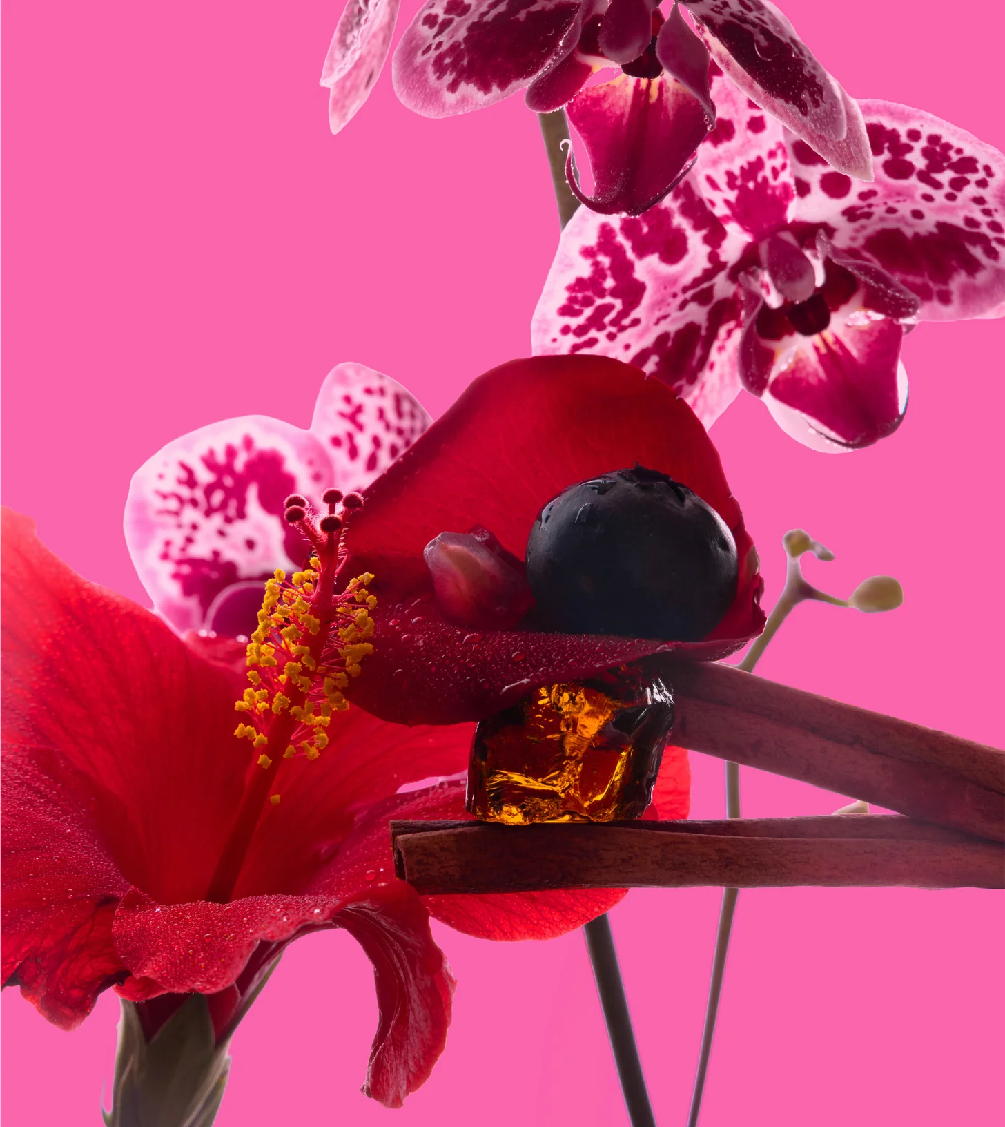 Baby Big Ass Candle - Hibiscus Rose - 150 oz - Image 3