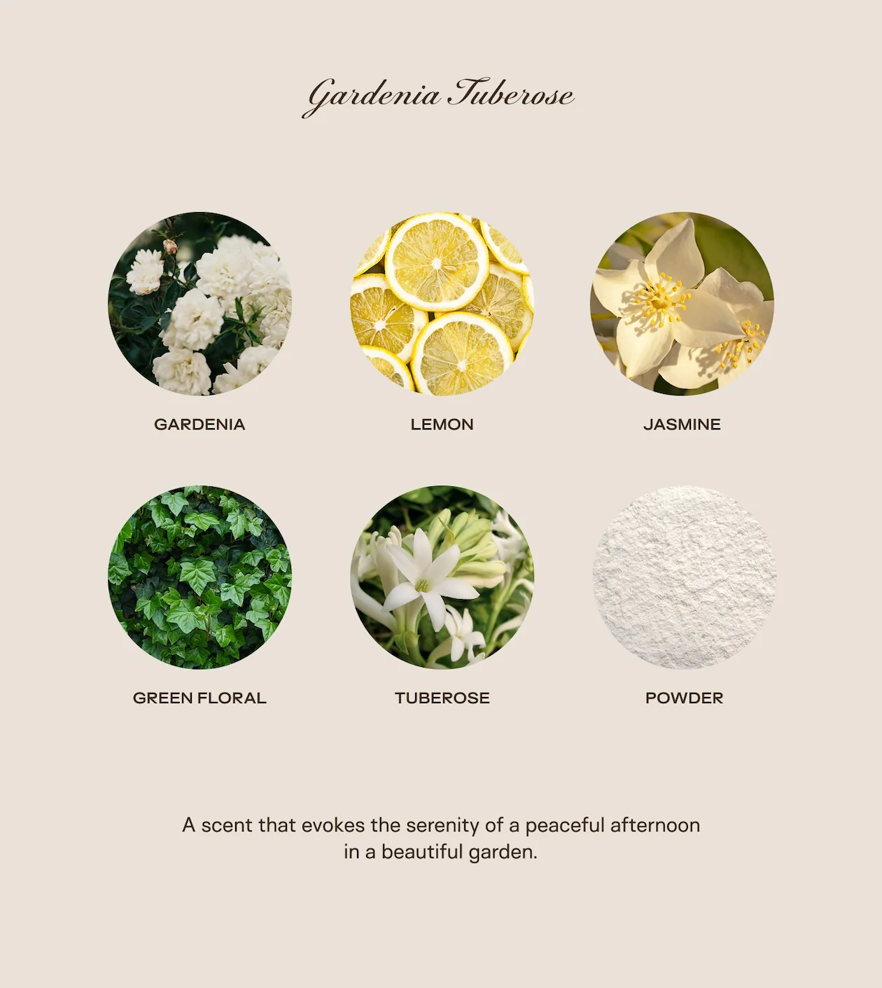 The Big Ass Bundle - Gardenia Tuberose - 300 oz - Image 2