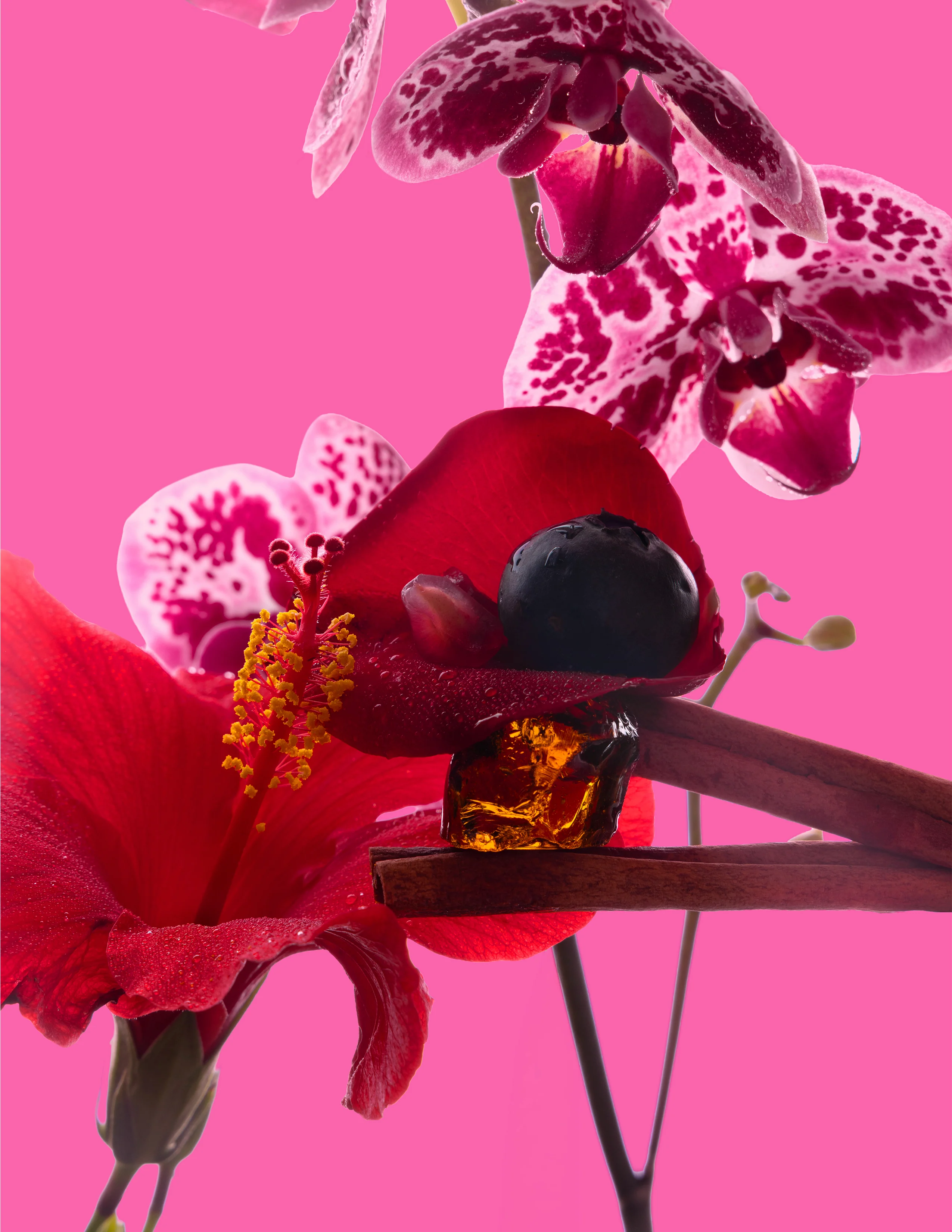The Big Ass Bundle - Hibiscus Rose - 300 oz - Image 2