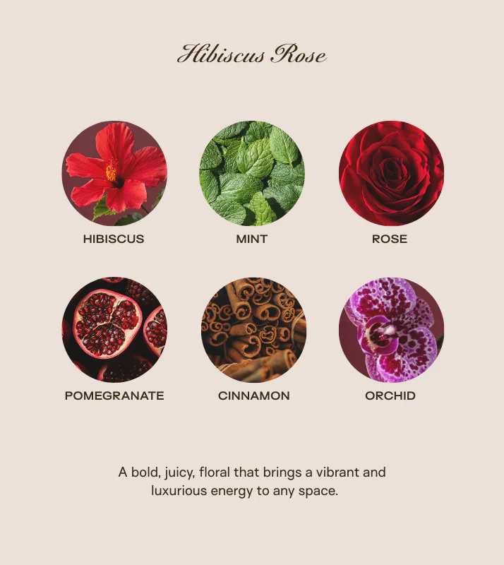 The Big Ass Bundle - Hibiscus Rose - 300 oz - Image 3