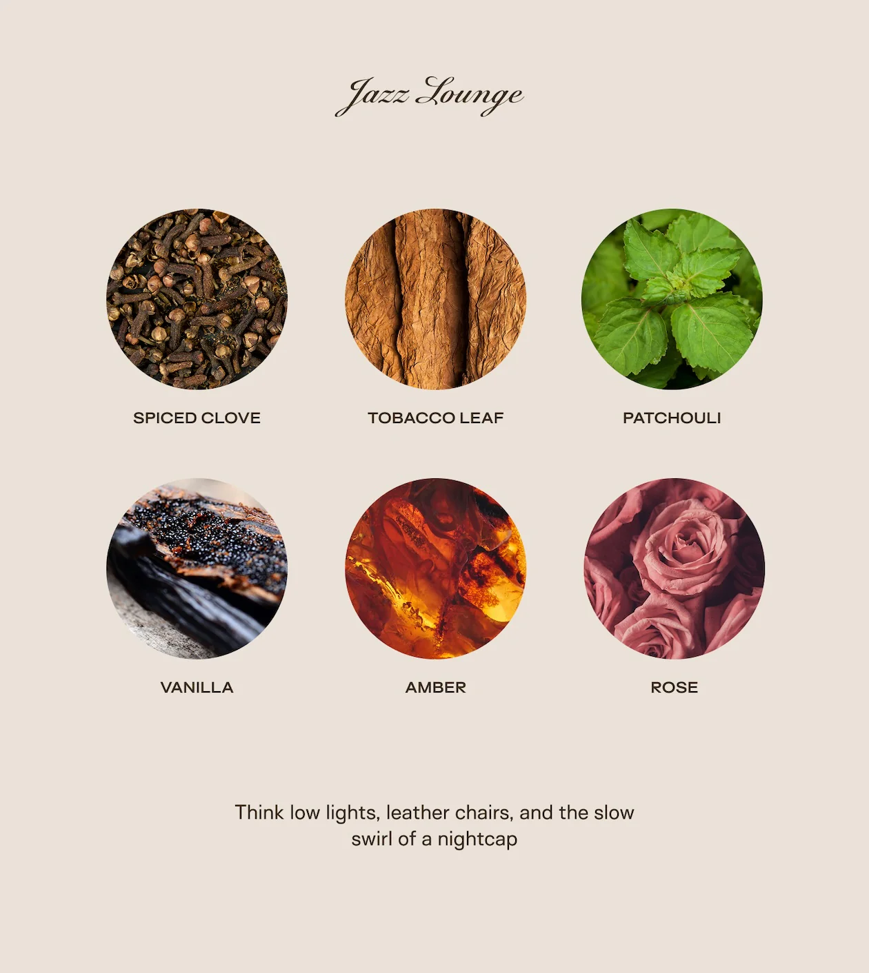 The Big Ass Bundle - Jazz Lounge - 300 oz - Image 2