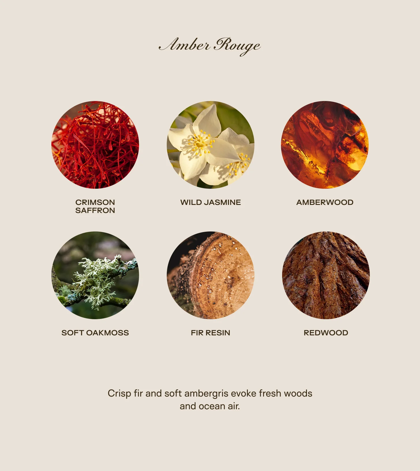 Trio Bundle - All Scents - Image 9
